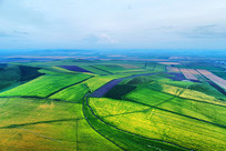 ���ĺ��ױ���������Ұ���