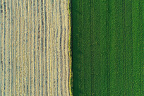 ���Ľ����̽���ط羰 