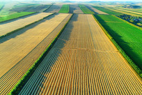 ���Ľ�����Ұ�羰