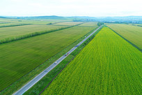 ����ũ��ũ��ũ����羰 