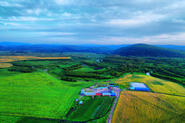 ������Ұ��ׯũ�� 