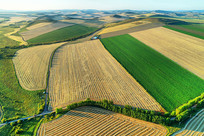 ������Ұ��ɫ 