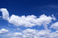 ������Ʒ羰