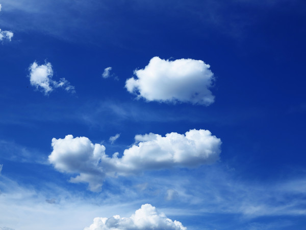 ������ƾ���