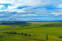 ��ɫ�����ݵ�