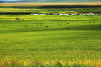 ��ɫ�����羰