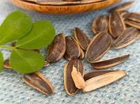 ��Ҷ����