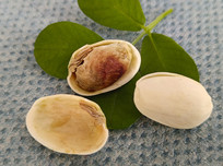 ��ʳ���￪�Ĺ�