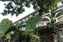 ��������Ⱥ