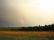 ԭҰ������ղʺ�