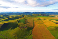 �����＾��ʵ�ũ�� 