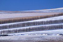 ���ױ���ũ�������ѩ��