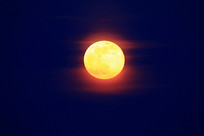 ��ɫ������