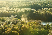 ���˰���������ֽ�˪�����ڡ