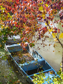 ���պ�ҶС��