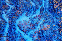 �����ֺ�ѩԭ������� 