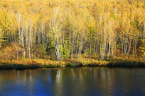 �Ӱ�������������ɫ 