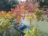 ���պ�ҶС��