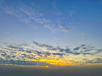 �����ƺ���ɫ