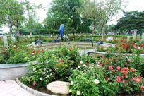 �������¼�԰ʢ�����¼��� 