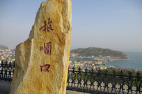 ��˳������