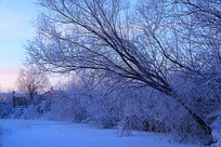 ���˰��붬���������������ڡ