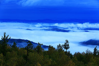 ���˰�������ɽ��ɭ���ƺ�