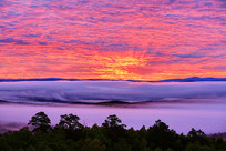 ���˰�������ɽ���ֺ�������ϼ