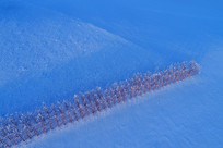 ���ĺ��ױ���ũ�������ѩ��