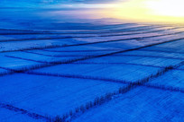 ���ĺ��ױ���ũ��ѩҰĺɫ