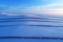 ���ĺ��ױ���ѩ����԰ĺɫ