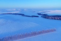 ���ĺ��ױ���ԭҰ����ѩ��