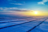 ����ѩԭ����������羰