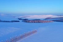 ����ѩ����԰ĺɫ