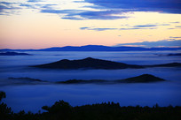 ɽ���ֺ�����