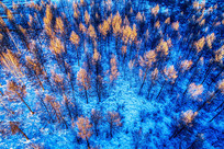 ���˰����ֺ�ѩԭ����ѩ��Ϧ��