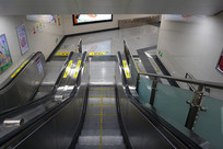 ����վ�Զ����ݸ���