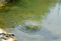 Ϫ������������