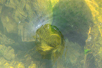 Ϫ��ʯ����������