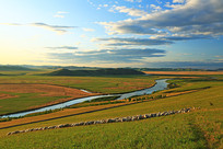 ���ױ�����ԭ����������Ⱥ