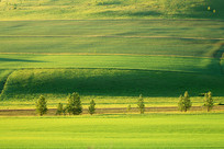 ����ũ����ɫũ��