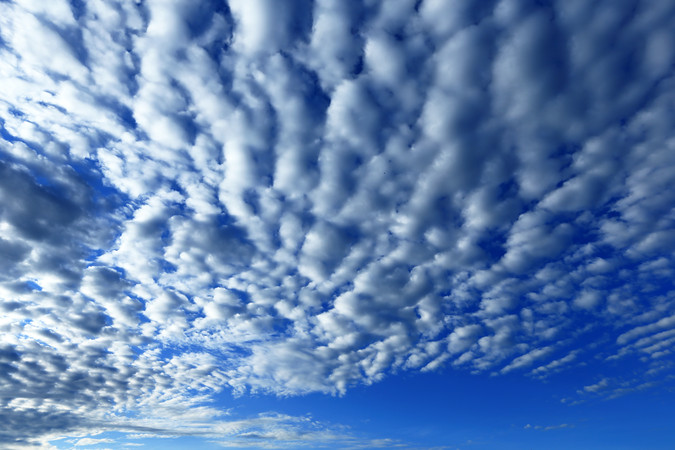 ������ƾ���