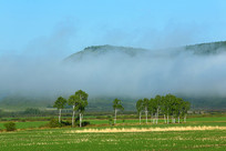 ɽ������