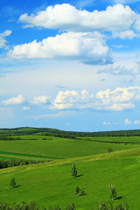 ���ױ������ֲ�ԭ�������