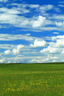 �����ݵ�������Ʒ羰