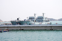 ��˳����