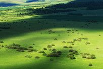 ���ɹź��ױ������ֲ�ԭ���