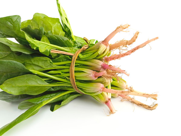 �׵�һ�Ѳ���