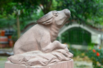 �ɶ�����ʯ������Фʯ���ţ