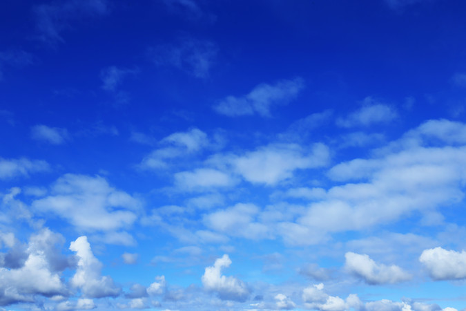 ���˰���������� 